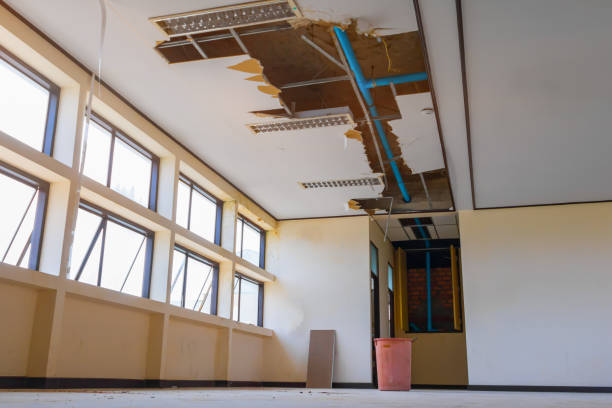 Water damage restoration process in Westchase, FL
