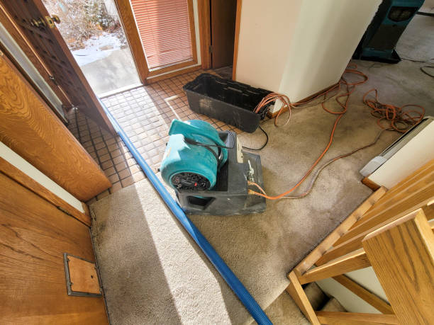 Best Water damage contractors near me  in Westchase, FL