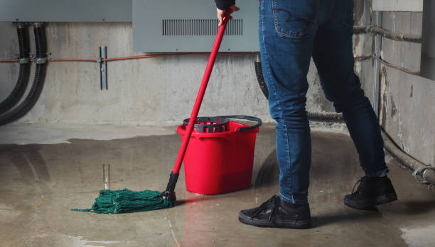 Best Commercial water damage restoration  in Westchase, FL