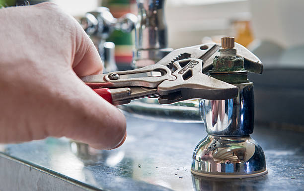 Best Water damage mitigation services  in Westchase, FL