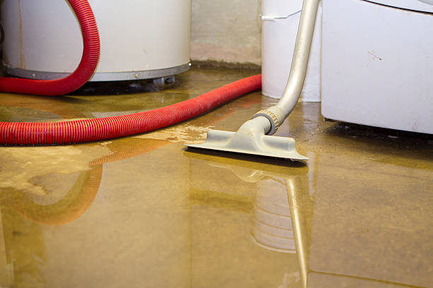 Best Water damage cleanup near me  in Westchase, FL
