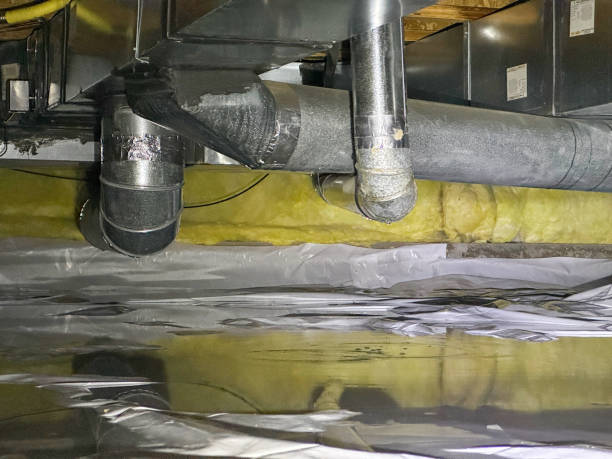 Best 24-hour water damage restoration  in Westchase, FL