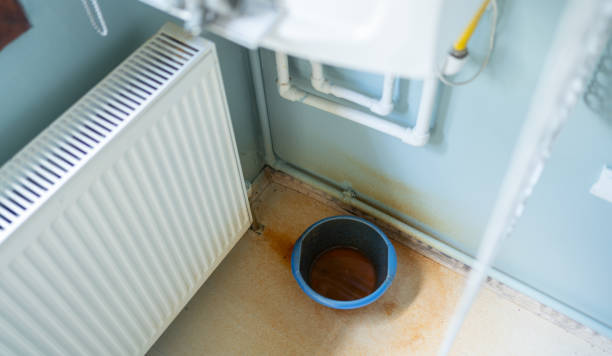 Local water damage restoration in Westchase, FL