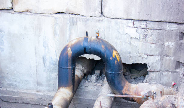 Best Flood restoration services  in Westchase, FL