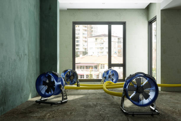 Trusted Westchase, FL Water damage restoration Experts