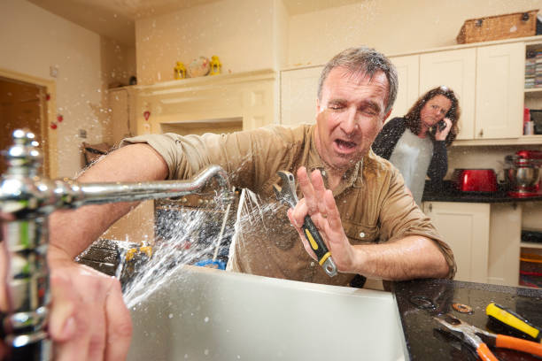 Best Flood damage cleanup  in Westchase, FL
